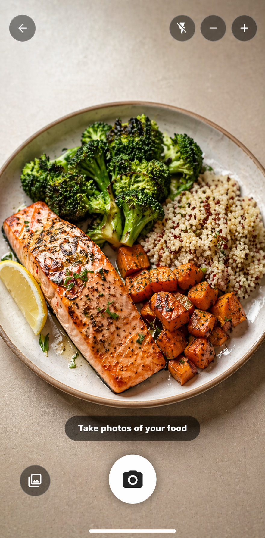 Meal logging preview